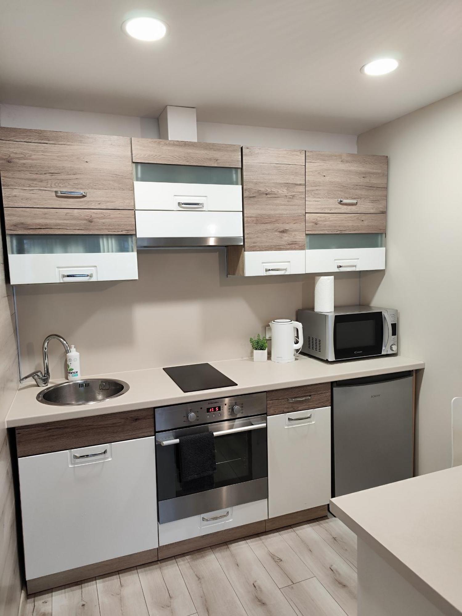 Monica Apartments Panevėžys Dış mekan fotoğraf